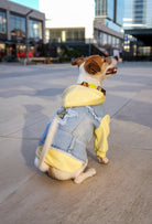 Açık sarı kapüşonlu köpek denim ceketi giyen Jack Russell köpek modern şehir ortamında dış mekanda oturuyor