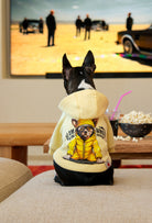 Açık sarı Breaking Bad köpek hoodie giyen Boston Terrier arka baskı detayı ile iç mekanda lifestyle görünüm