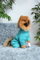 Pomeranian üzerinde arktik mavisi pirinç ve saç örgü desenli köpek tulumu, evde şık görünüm