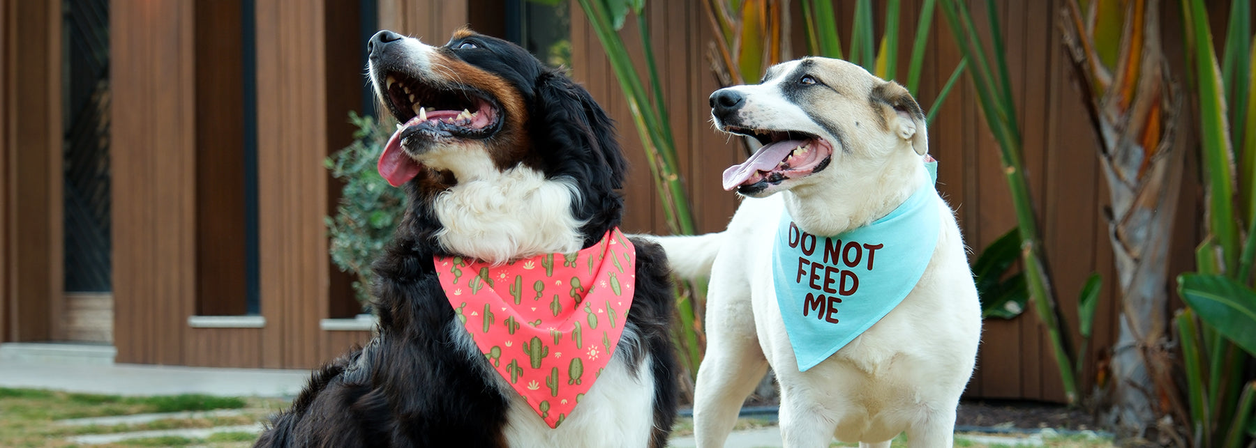 Bandanas