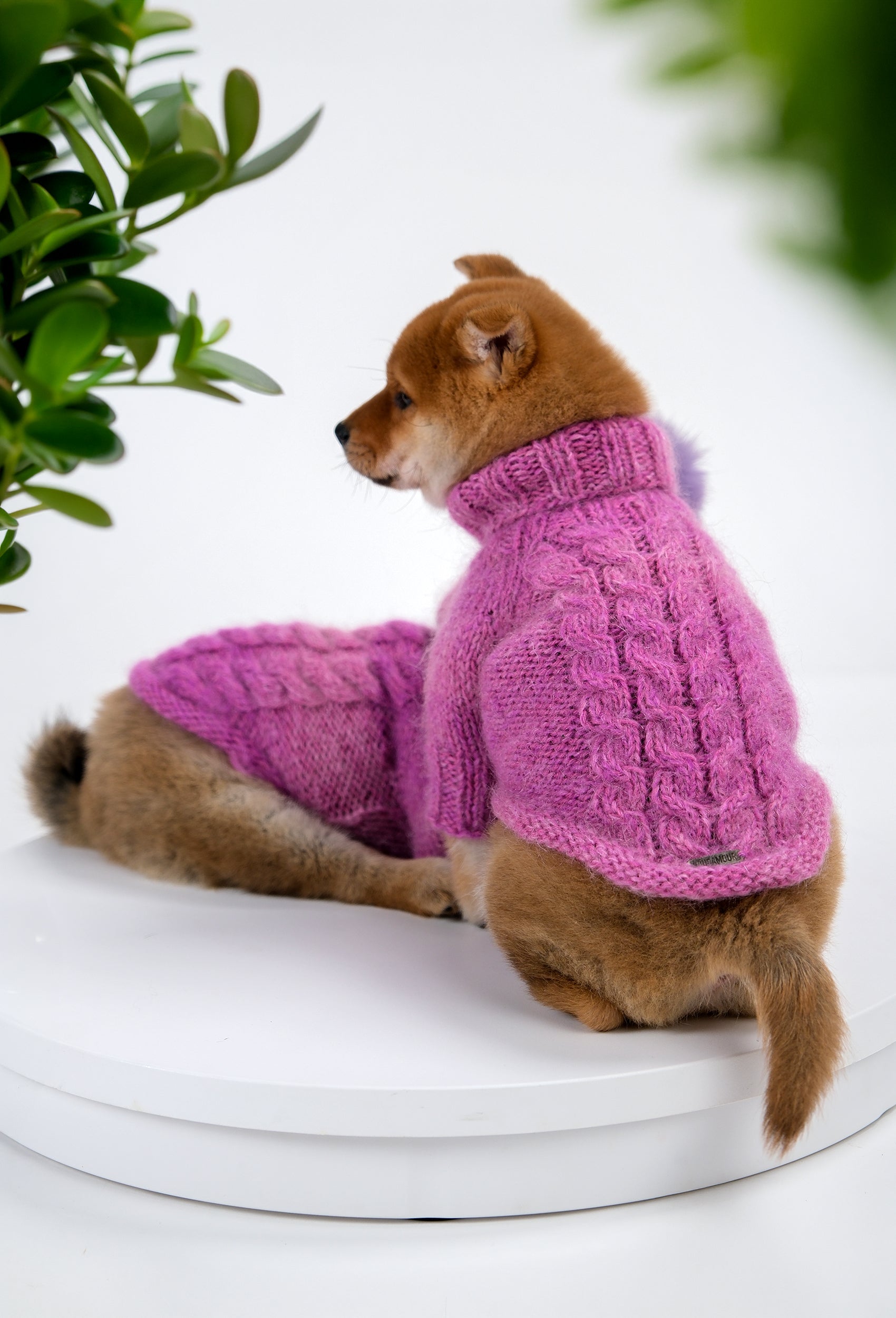 Shiba Inu yavrusu üzerinde batik leylak örgülü regular fit köpek kazak, sırt detayını gösteren görünüm