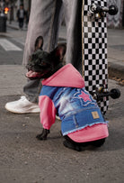 Comfy pembe kapüşonlu köpek denim ceketi giyen Fransız bulldog şehirde kaykay yanında oturuyor