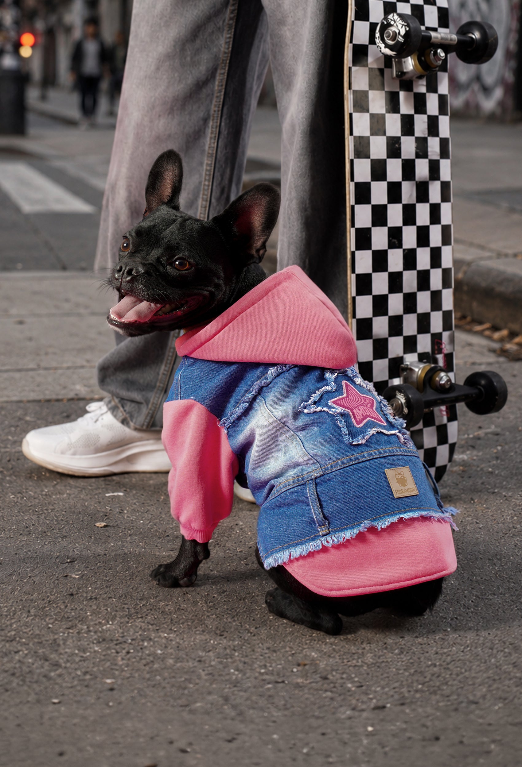 Comfy pembe kapüşonlu köpek denim ceketi giyen Fransız bulldog şehirde kaykay yanında oturuyor