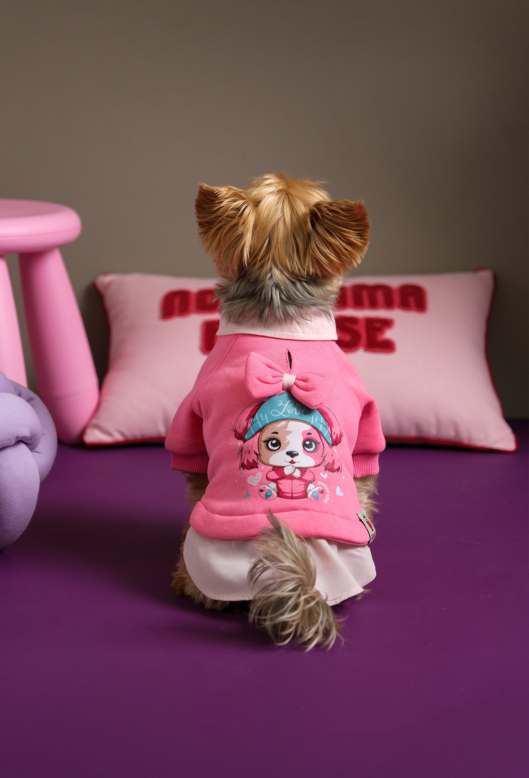 Comfy pembe Love köpek sweatshirt giyen Yorkshire Terrier pembe stüdyo ortamında arkadan görünüm
