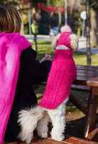 Küçük ırk Maltese köpekte fuşya el örgüsü regular fit kazak, parkta arka görünüm lifestyle