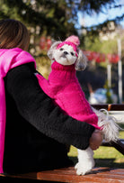 Maltese köpek üzerinde fuşya örgülü regular fit köpek kazak, dış mekanda sıcak lifestyle görünüm