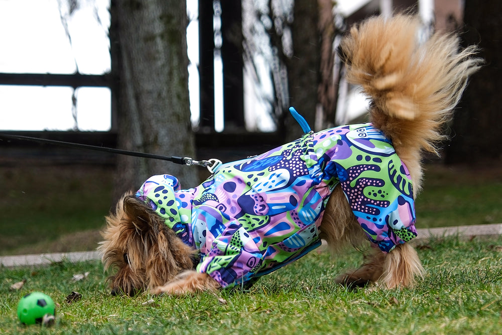 Soğuk Rüzgara Karşı Sıcak Kalkan.