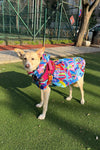 Su Geçirmez Köpek Yağmurluğu Colorful Abstract Animals Panço - 2XL