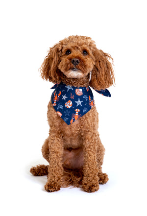 Double-Sided Dog Bandana “Beach Please”