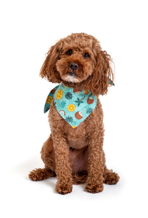 Double-Sided Dog Bandana “Tropic Like It's Hot”
