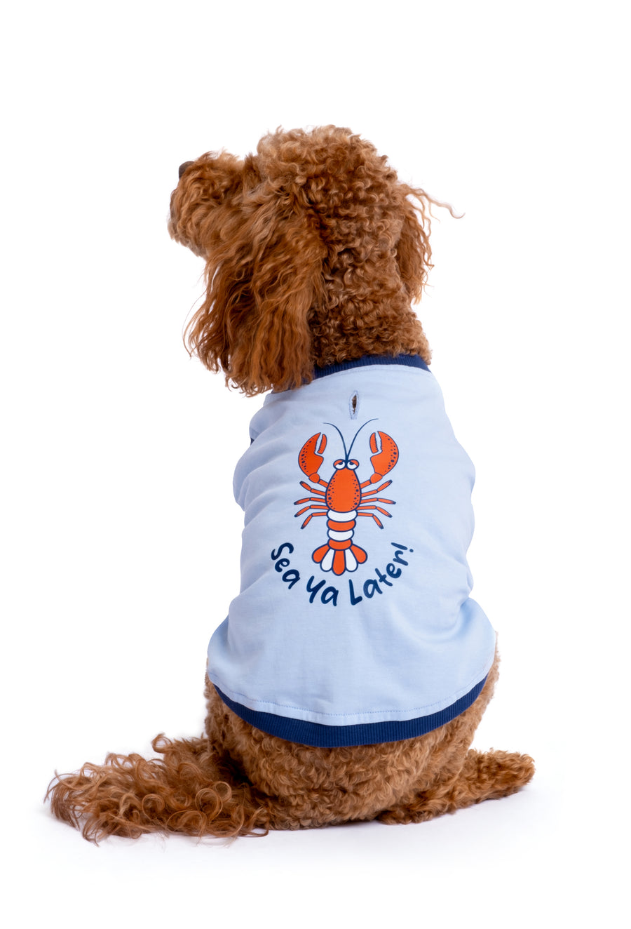 Fouramour Sea Ya Later pamuklu bebek mavisi köpek t-shirt arka baskı detaylı görünüm
