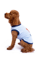 Küçük ırk köpek üzerinde bebek mavisi köpek t-shirt yan görünüm
