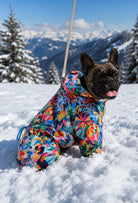 French Bulldog Wonder Forest su geçirmez köpek tulumu ile karlı dağda