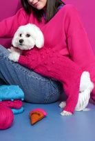 Maltese üzerinde fuşya popcorn desenli el örgüsü köpek tulumu, renkli lifestyle çekimi
