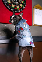 Gamer orta kar yıkama denim köpek yeleği giyen Boston Terrier köpeği oyun odasında şık pet kıyafeti ile poz veriyor