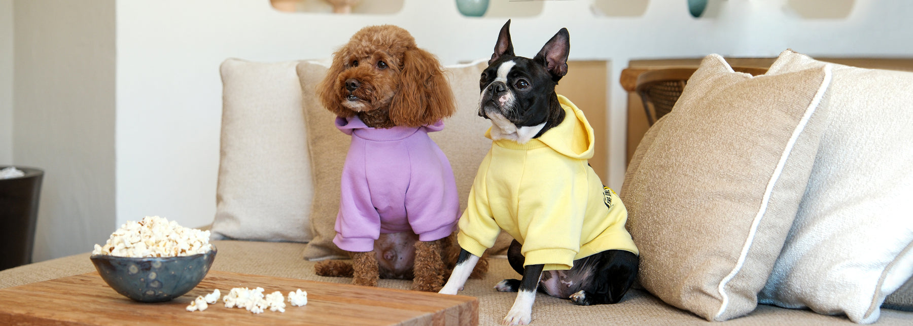 Hoodie & Sweatshirt