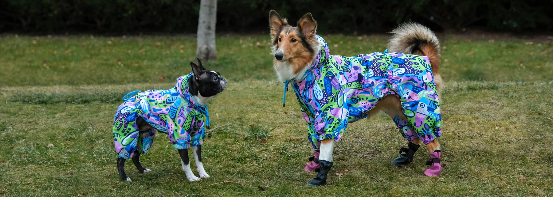 Jumpsuits