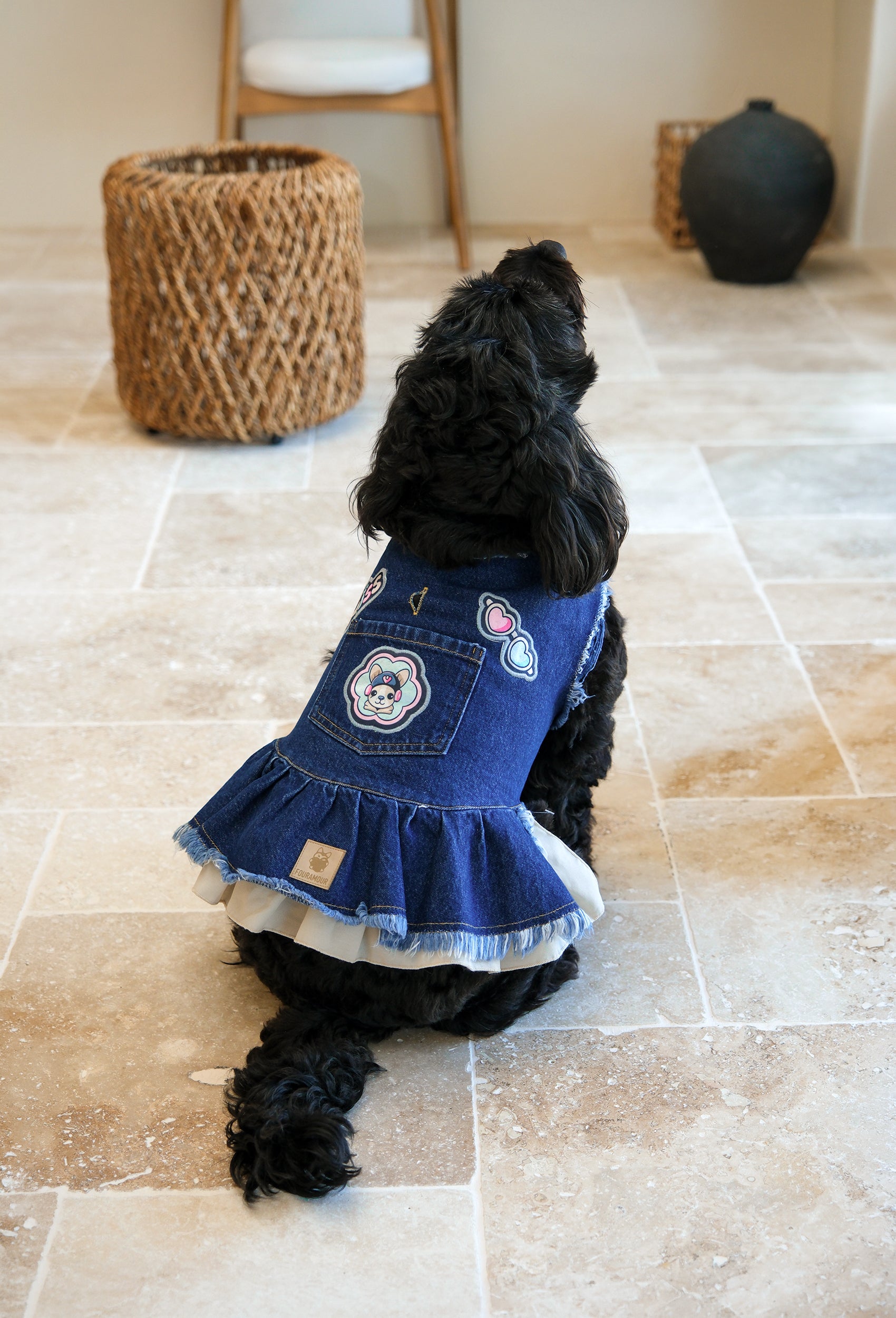 Kiss bej etekli koyu yıkama denim köpek elbisesi giyen siyah köpek ev ortamında arkadan görünümde oturuyor