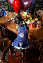 Kiss bej etekli koyu yıkama denim köpek elbisesi giyen Boston Terrier parti masası yanında ayakta duruyor