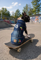 Koyu yıkama denim Badboy köpek yeleği giyen Boston Terrier kaykay üzerinde outdoor lifestyle 