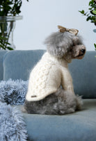 Poodle üzerinde krem rengi burgu desenli el örgüsü köpek kazak, evde zarif lifestyle görünüm