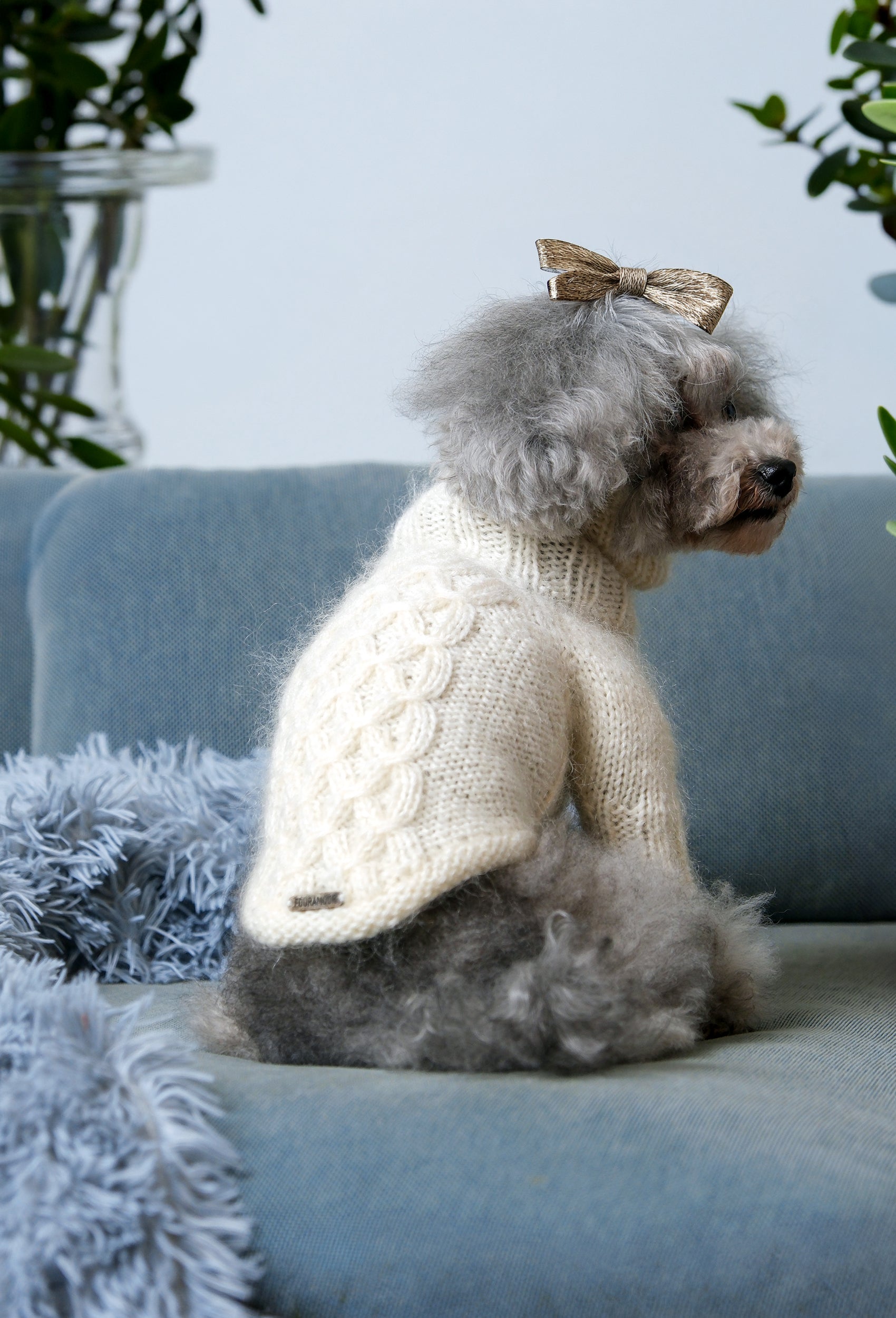 Poodle üzerinde krem rengi burgu desenli el örgüsü köpek kazak, evde zarif lifestyle görünüm