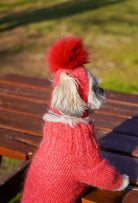 Küçük ırk köpek üzerinde mercan ponponlu el örgüsü köpek şapkası, dış mekanda kış stili