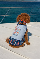 Pamuklu bebek mavisi Shell Yeah köpek elbisesi giyen Poodle köpek yat üzerinde deniz temalı lifestyle çekiminde