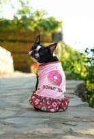 Pamuklu pembe Donut Try köpek elbisesi giyen Boston Terrier köpek yaz konseptli outdoor lifestyle çekiminde