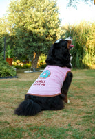 Pamuklu pembe Donut Judge Me köpek t-shirt giyen Bernese Mountain Dog bahçede lifestyle çekiminde