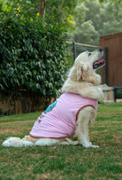Pamuklu pembe Donut Judge Me köpek t-shirt giyen golden retriever köpek bahçede lifestyle çekiminde