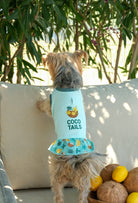Pamuklu su yeşili Coco Tails köpek elbisesi giyen Yorkshire Terrier köpek tropikal yaz temalı outdoor lifestyle çekiminde