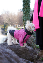 Pembe su geçirmez köpek montu giyen Shih Tzu köpek doğada lifestyle çekiminde