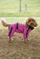 Pembe su geçirmez karnı kapalı dişi köpek tulumu giyen Poodle köpek parkta lifestyle çekiminde