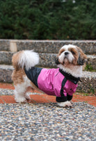 Pembe su geçirmez köpek montu giyen Shih Tzu köpek Ankarada outdoor lifestyle fotoğrafı