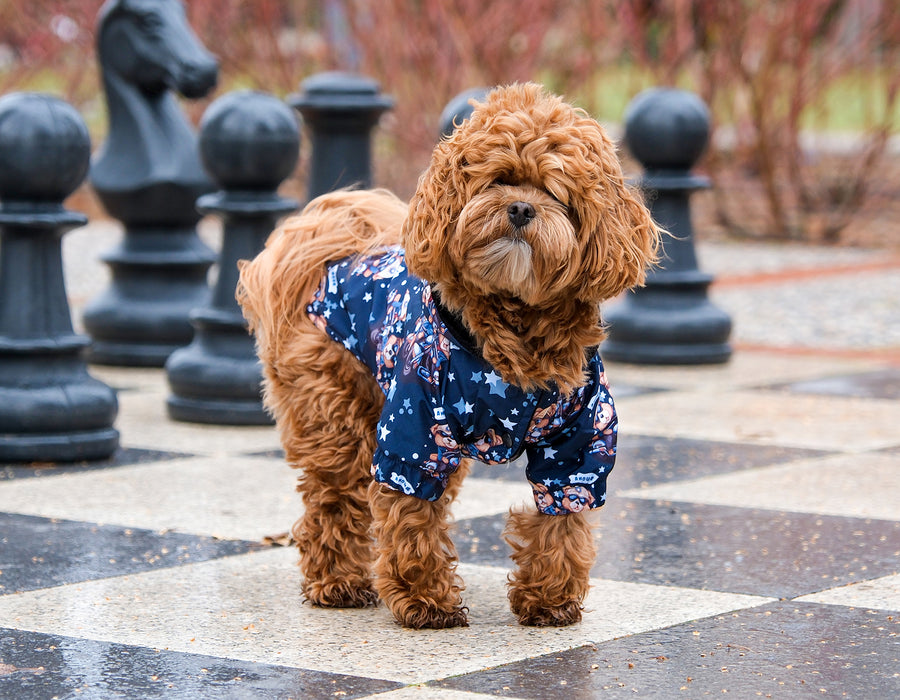 Yağmur Yağsın, Macera Başlasın!