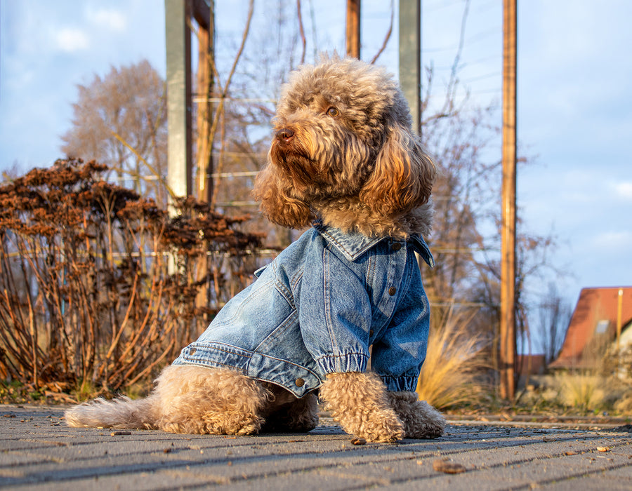 Denim Tutkusu, Zamansız Uyum!