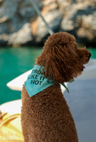 Tropic Like It’s Hot çift taraflı köpek bandanası takan poodle yat üzerinde lifestyle çekiminde