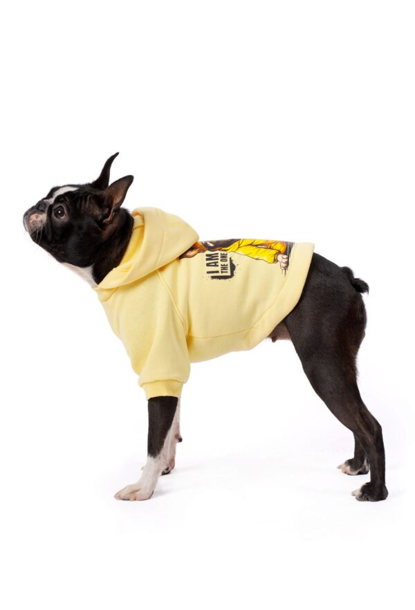 Açık Sarı Köpek Hoodie "Breaking Bad" - Görsel 7