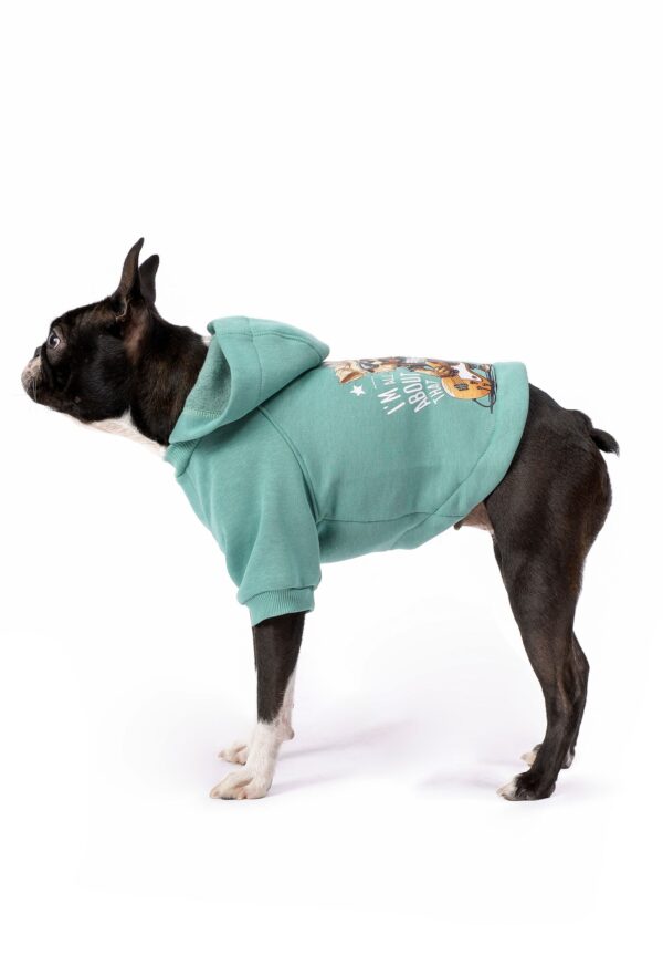 Su Yeşili Köpek Hoodie "Rock Star" - Görsel 7