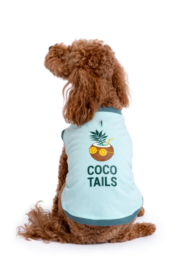 Pamuklu Su Yeşili Köpek Elbisesi "Coco Tails"