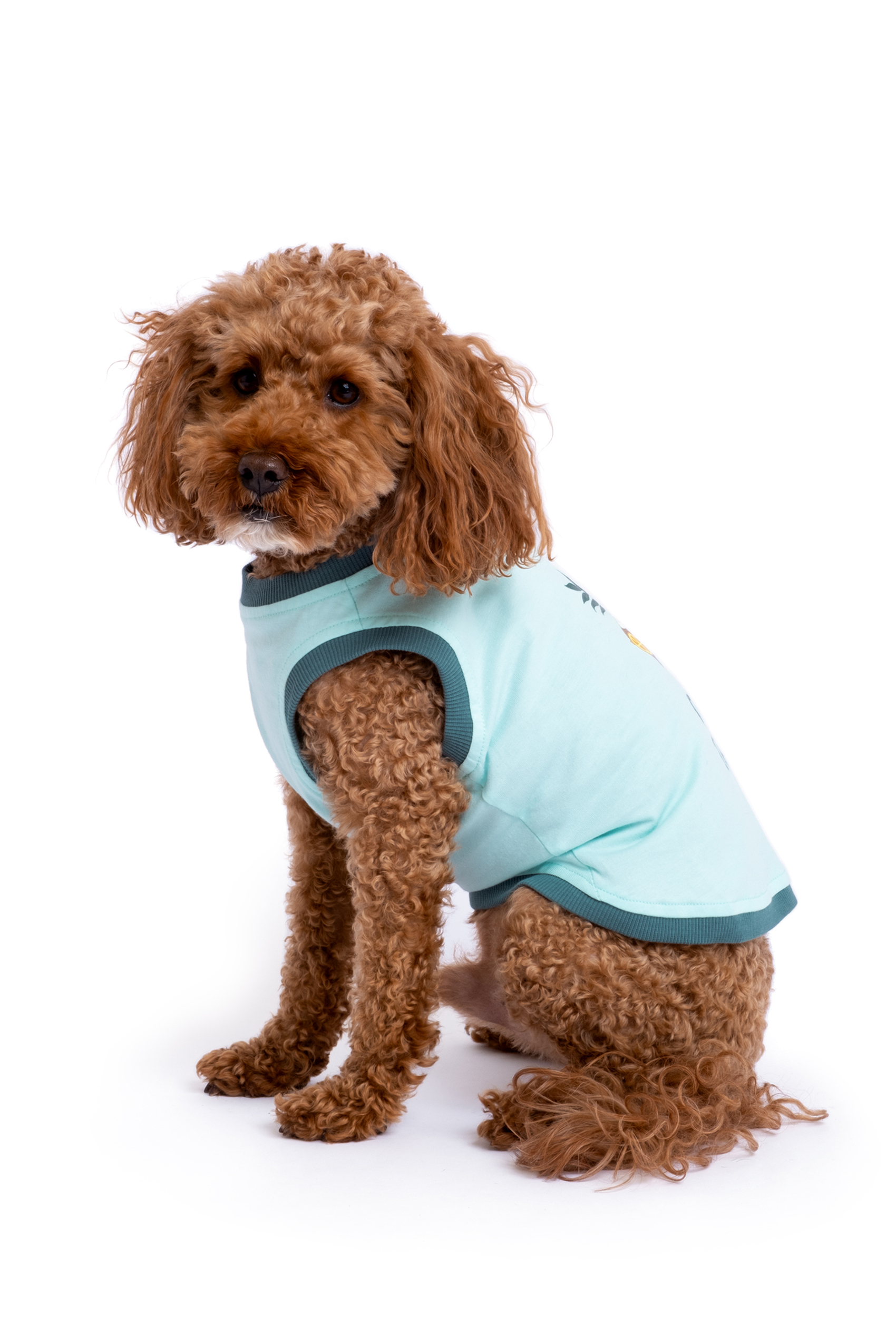 Pamuklu Su Yeşili Köpek Elbisesi "Coco Tails"