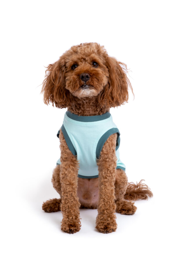 Pamuklu Su Yeşili Köpek Elbisesi "Coco Tails" - Görsel 3