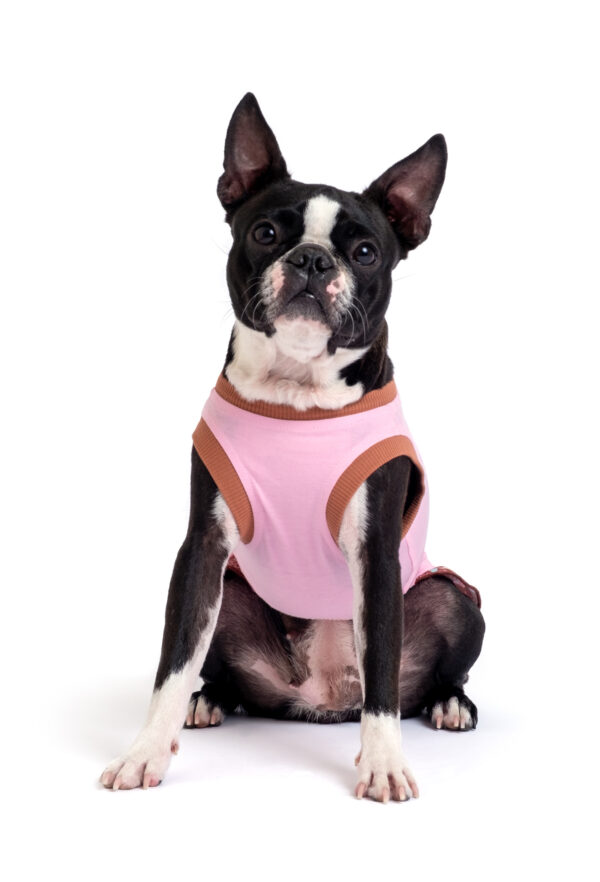 Pamuklu Pembe Köpek Elbisesi "Donut Try" - Görsel 3