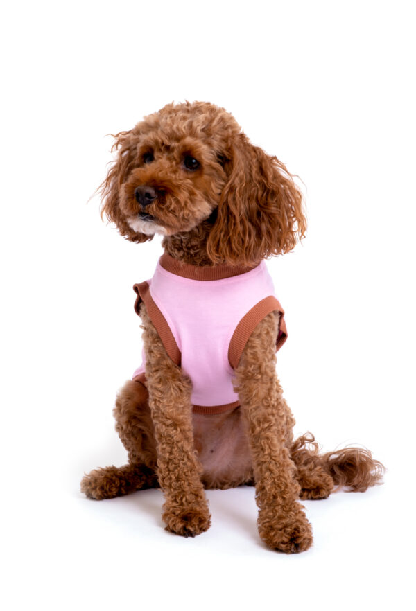 Pamuklu Pembe Köpek T-shirt "Donut Judge Me" - Görsel 3