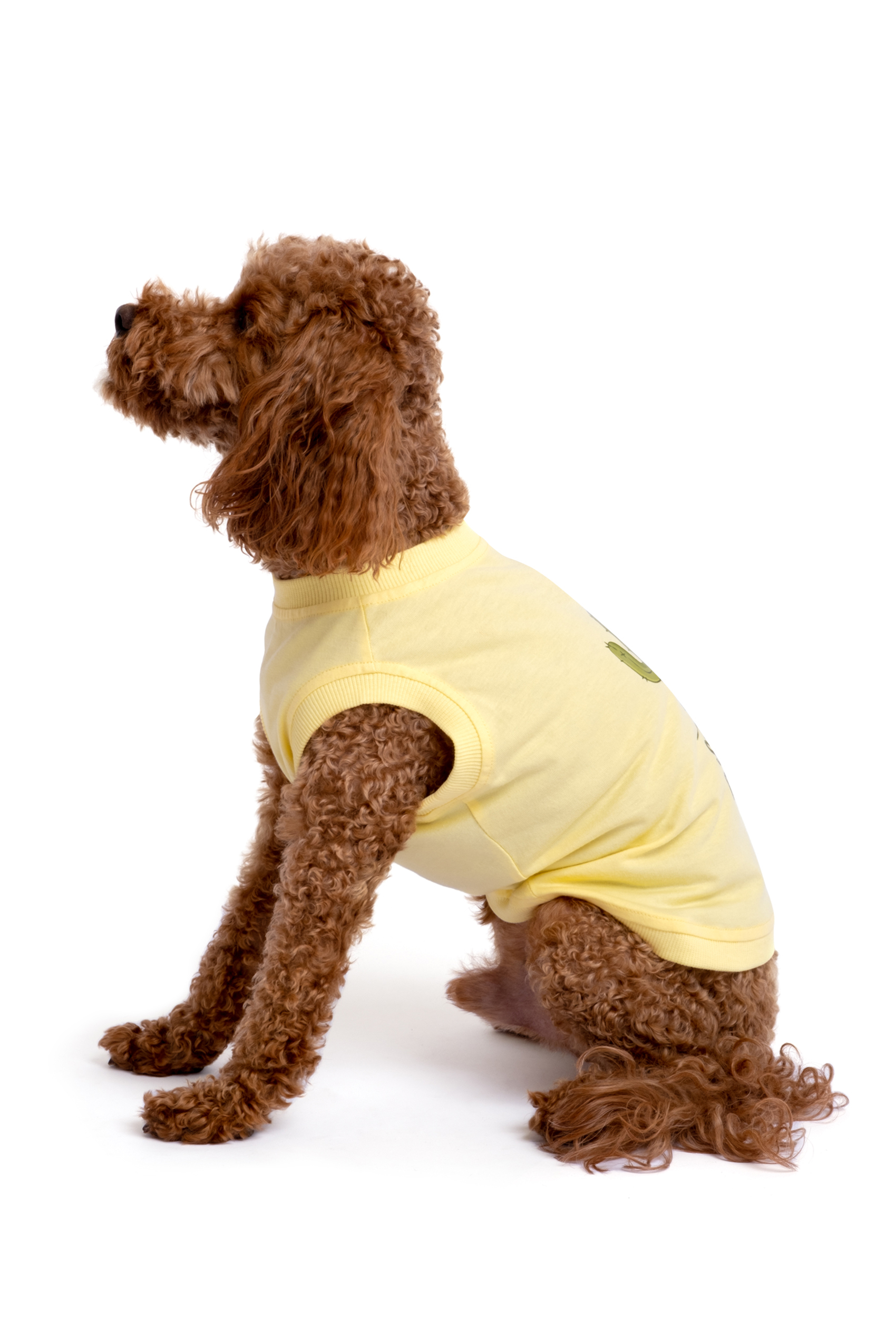 Pamuklu Sarı Köpek T-shirt “Stuck On You”