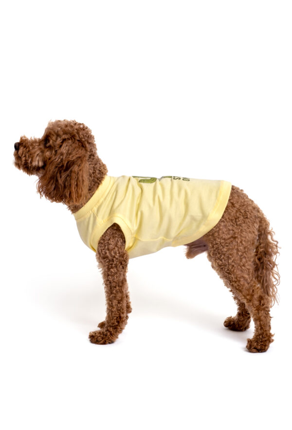 Pamuklu Sarı Köpek T-shirt “Stuck On You” - Görsel 3