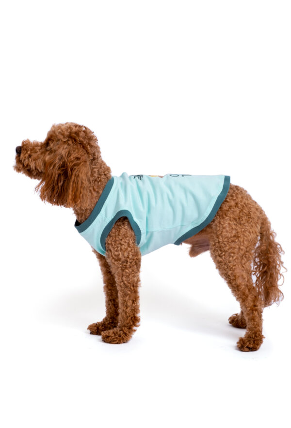 Pamuklu Su Yeşili Köpek T-shirt "Coco Tails" - Görsel 4