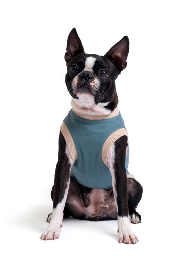 Pamuklu Koyu Yeşil Köpek Elbisesi "Brew Baby" - Görsel 3